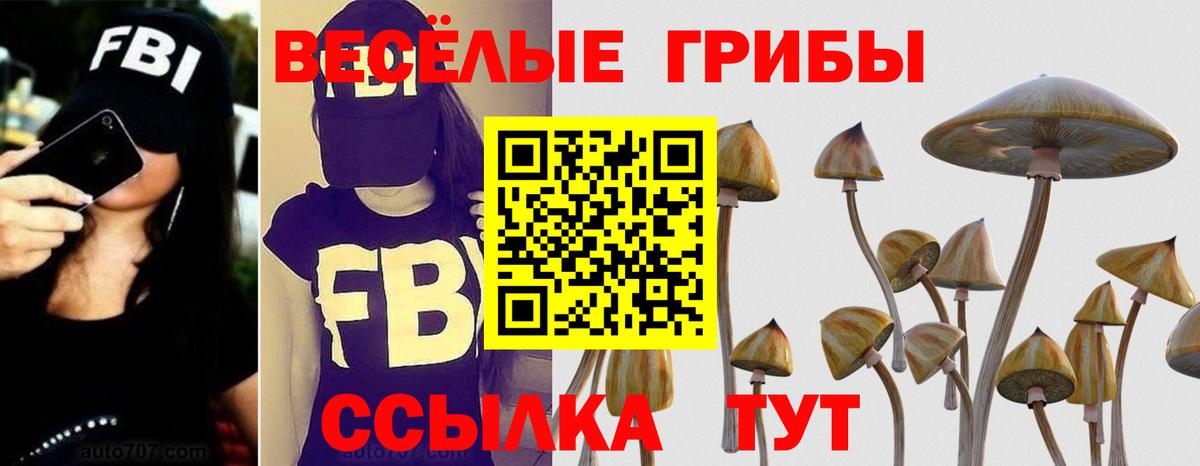 Псилоцибиновые грибы GOLDEN TEACHER Городец
